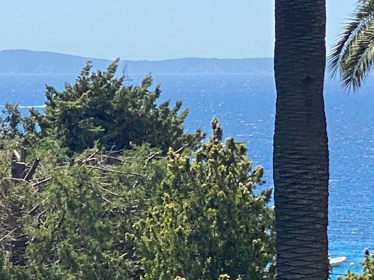 T3 Plage Du Rayol Dans Petite Residence Eksteriør bilde